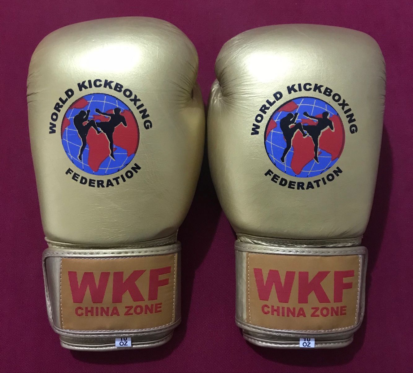 WKF世界自由搏击联合会中国区成立大会：纪念金拳套