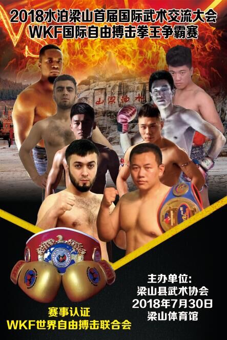 2018水泊梁山首届国际武术交流大会暨WKF国际自由搏击拳王金腰带争霸赛