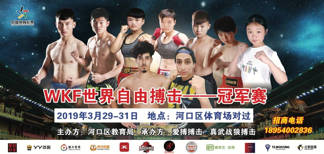2019年WKF世界自由搏击冠军赛（东营站）
