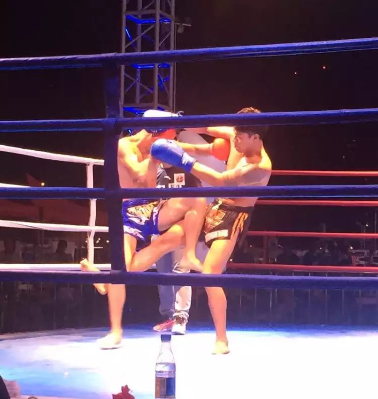 1510320555243344.jpg psb (12).jpg