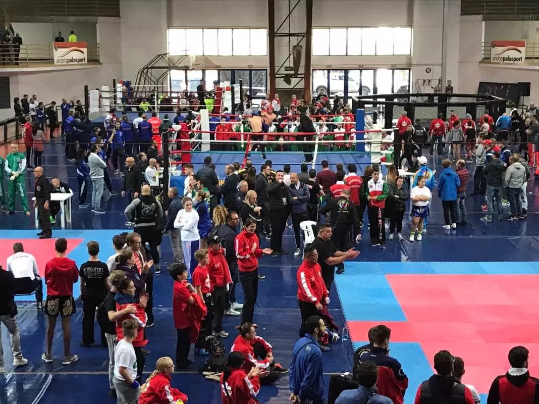 1510333506507129.jpg psb (16).jpg