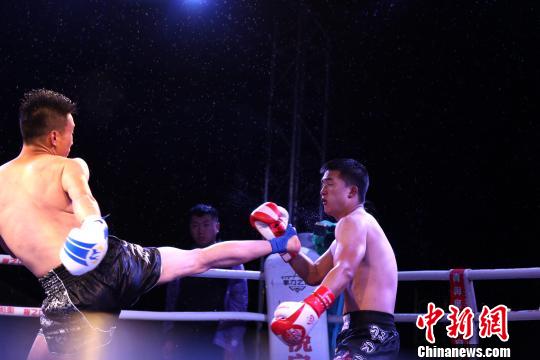 WKF世界自由搏击争霸赛新秀青海贵南沙漠上演“肉搏战”