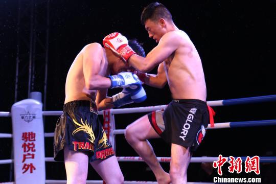 图为“拳力之巅”WKF世界自由搏击争霸赛新秀选拔赛青海贵南站比赛现场。　张海雯 摄