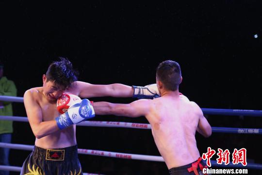 图为“拳力之巅”WKF世界自由搏击争霸赛新秀选拔赛青海贵南站比赛现场。　张海雯 摄