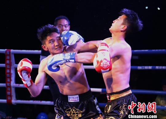 图为“拳力之巅”WKF世界自由搏击争霸赛新秀选拔赛青海贵南站比赛现场。　张海雯 摄