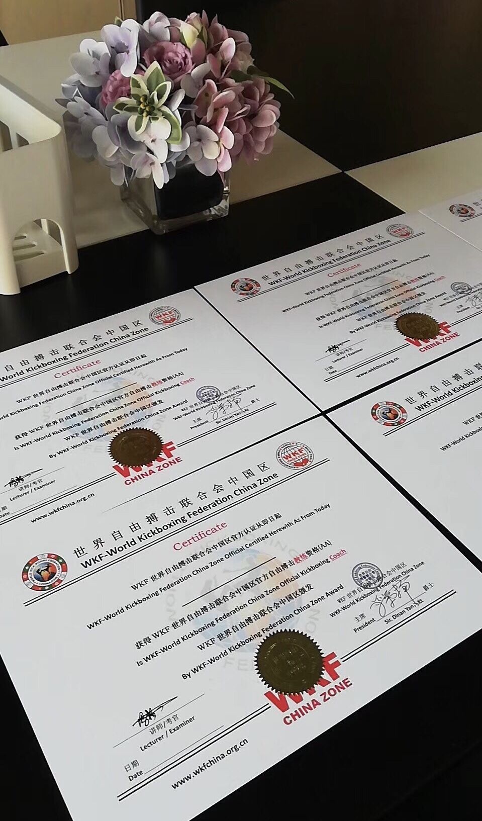 2018年wkf中国区官方自由搏击教练员(绍兴站)培训班