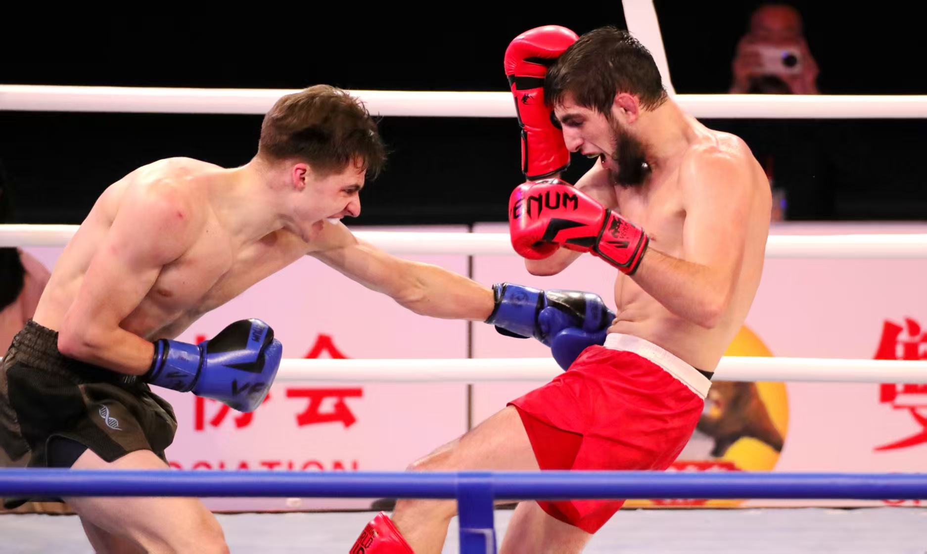 1770545176231252.jpg 4.jpg