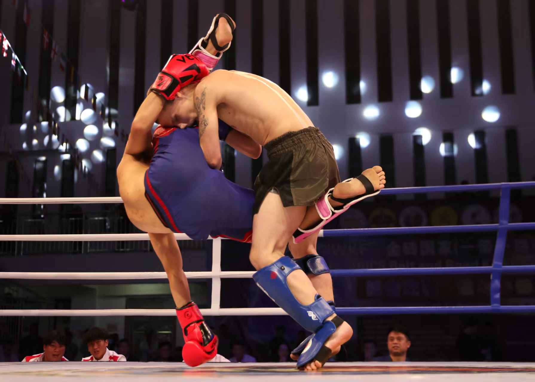 1770545258335260.jpg 6.jpg